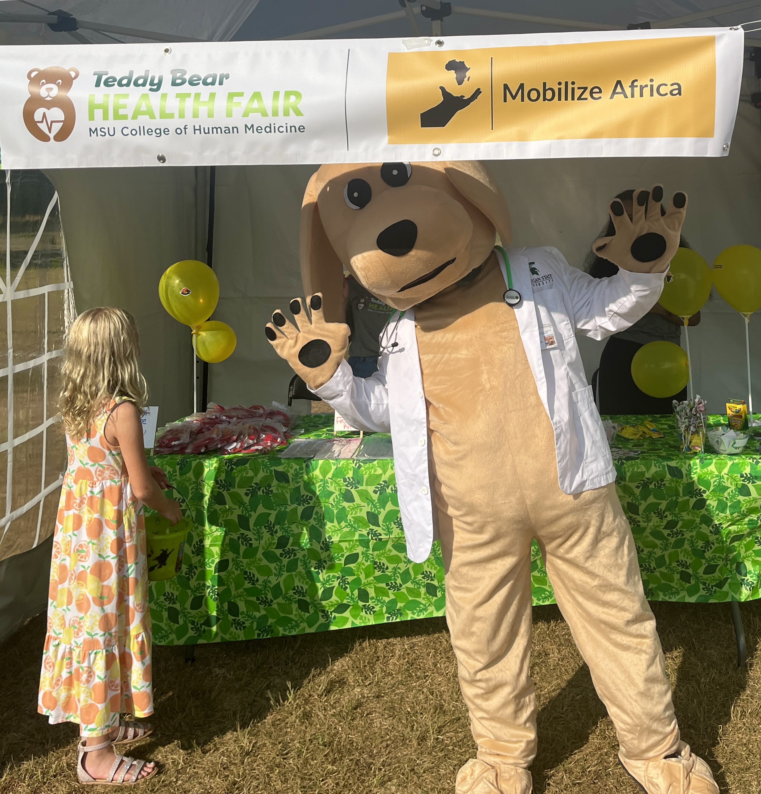 Teddy Bear Fair in Grand Rapids